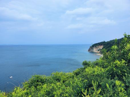 海水空摇绿（赵晓辉）